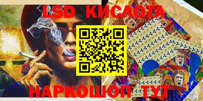 крисы Краснодар