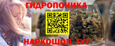 крисы Краснодар