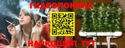 крисы Краснодар