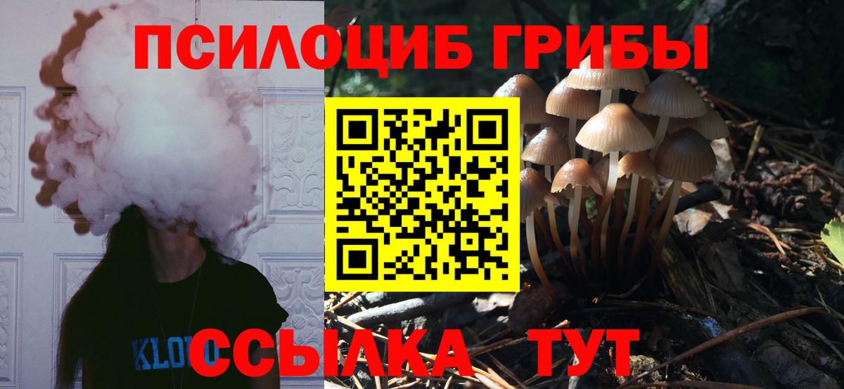 Псилоцибиновые грибы Psilocybe  Вход с VPN  где можно купить   Донецк 