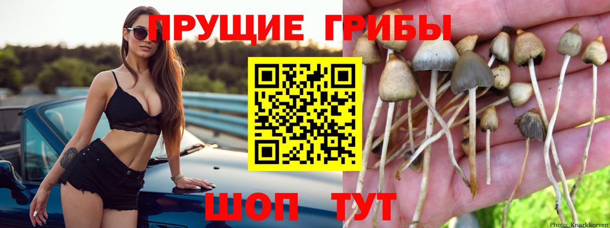 Псилоцибиновые грибы Magic Shrooms Донецк